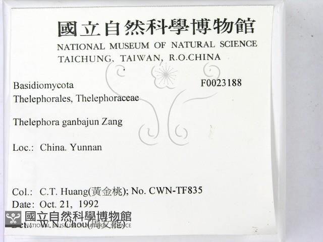 登錄號:F0023188藏品圖，第2張