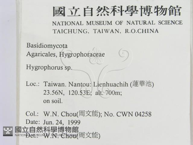 登錄號:F0013188藏品圖，第2張
