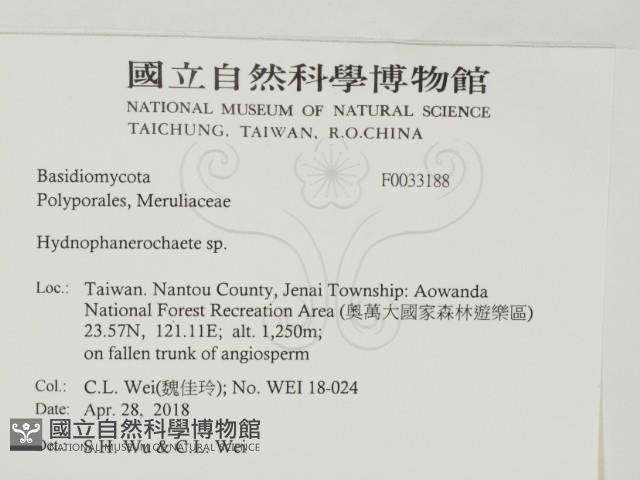 登錄號:F0033188藏品圖，第2張