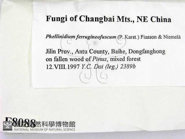 登錄號:F0008088藏品圖，第2張