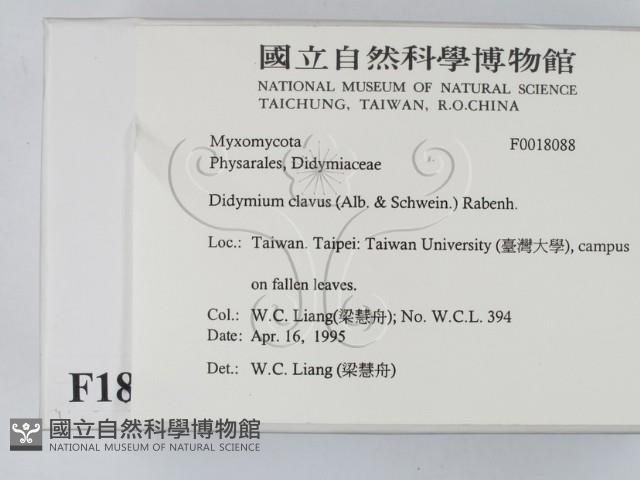 登錄號:F0018088藏品圖，第2張