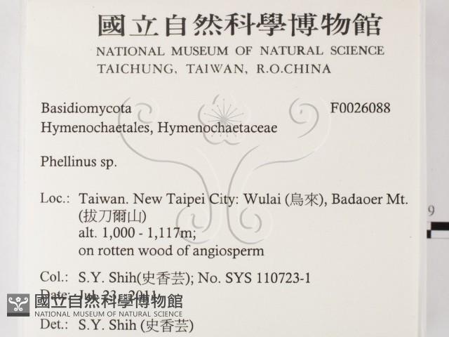 Accession Number:F0026088 Collection Image, Figure 2, Total 3 Figures