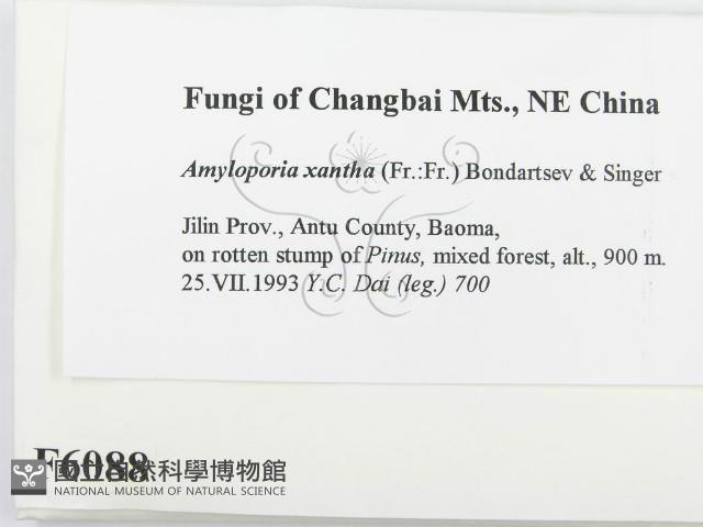 登錄號:F0006088藏品圖，第2張