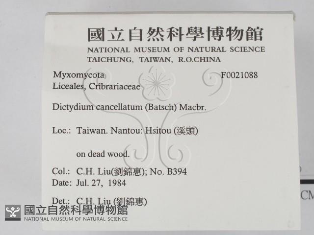 登錄號:F0021088藏品圖，第2張