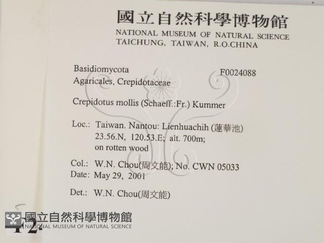 登錄號:F0024088藏品圖，第2張