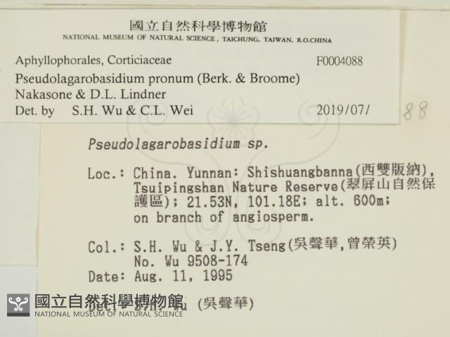 登錄號:F0004088藏品圖，第2張