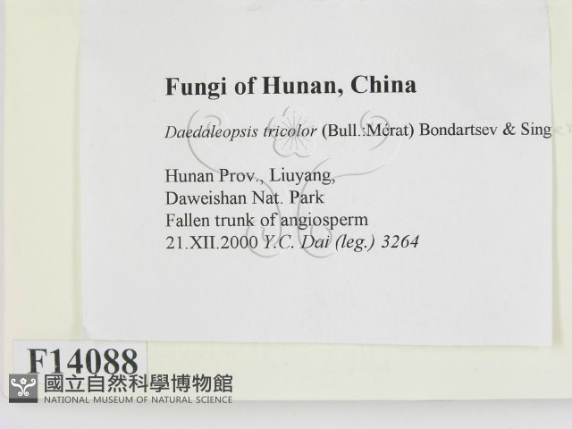 登錄號:F0014088藏品圖，第2張