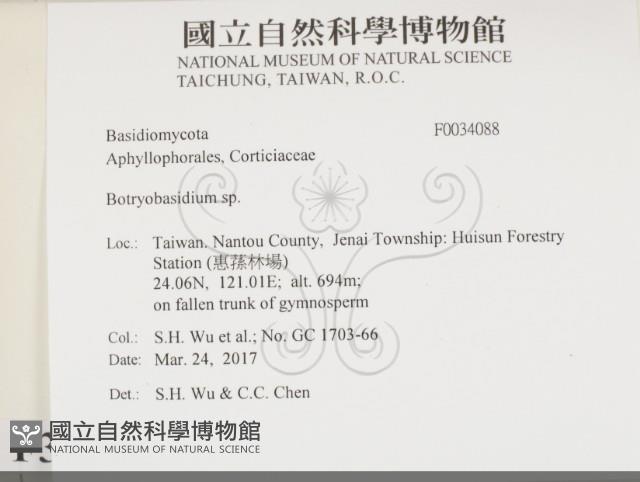 登錄號:F0034088藏品圖，第2張