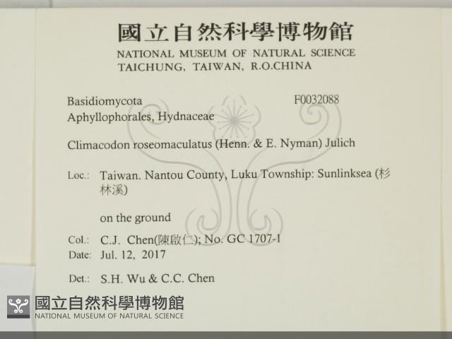 登錄號:F0032088藏品圖，第2張