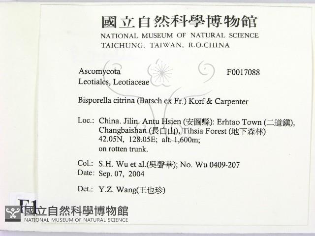 登錄號:F0017088藏品圖，第2張
