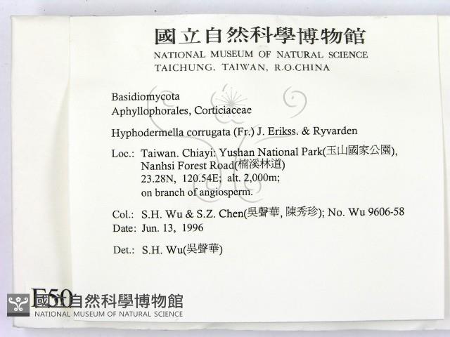 登錄號:F0005088藏品圖，第2張