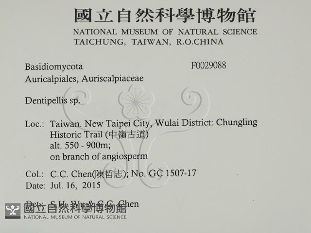 登錄號:F0029088藏品圖，第2張