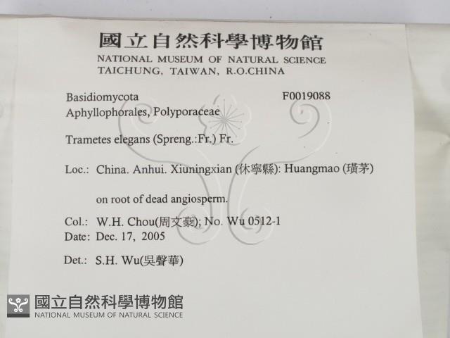 登錄號:F0019088藏品圖，第2張