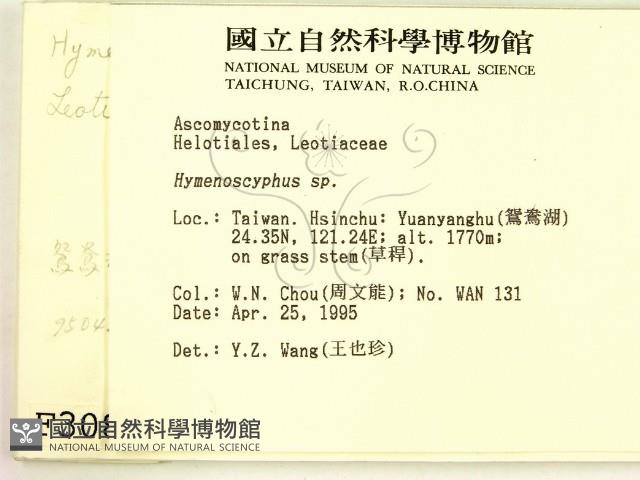登錄號:F0003088藏品圖，第2張