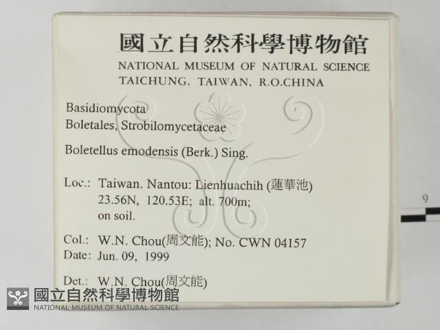 登錄號:F0013088藏品圖，第2張
