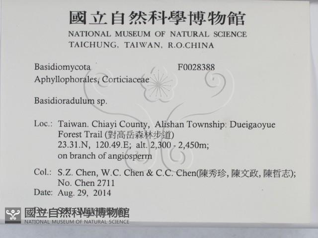 登錄號:F0028388藏品圖，第2張