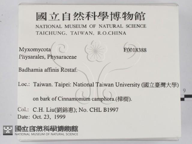 登錄號:F0018388藏品圖，第2張