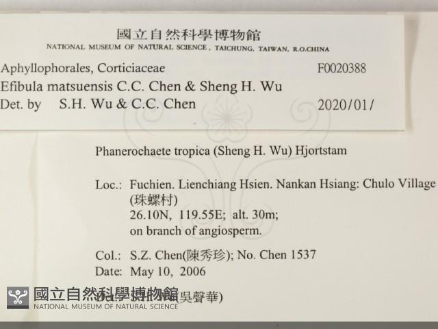 登錄號:F0020388藏品圖，第2張