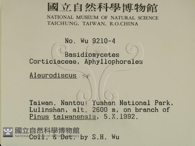 登錄號:F0000388藏品圖，第2張