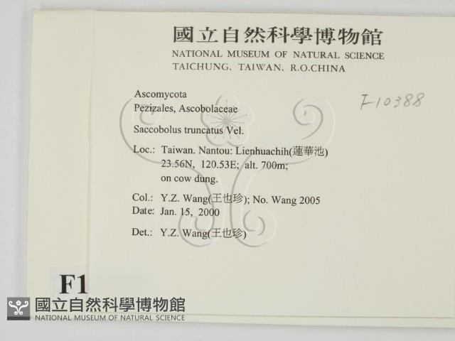 登錄號:F0010388藏品圖，第2張