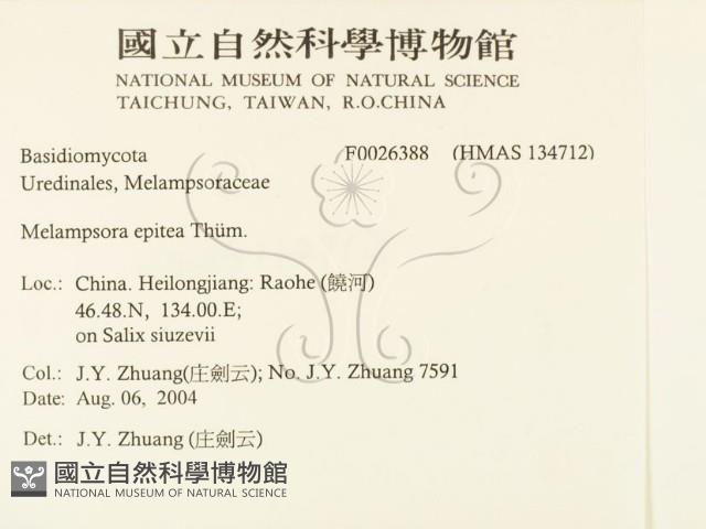 登錄號:F0026388藏品圖，第2張