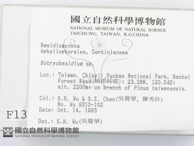 登錄號:F0001388藏品圖，第2張