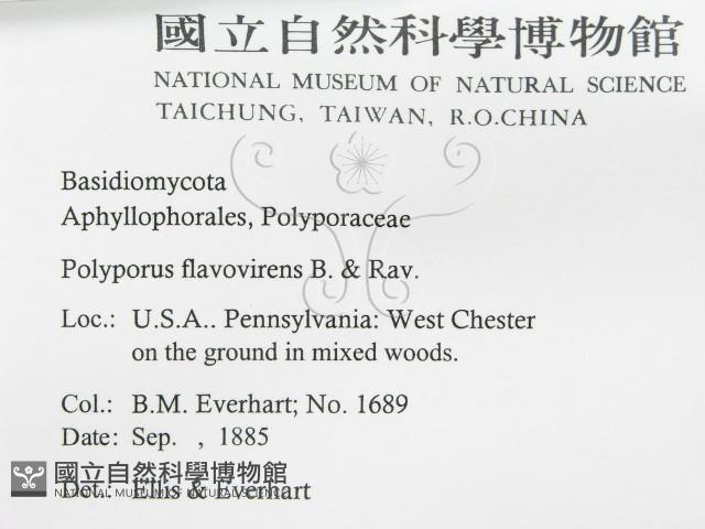 登錄號:F0011388藏品圖，第2張