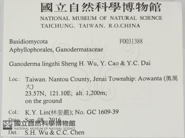 登錄號:F0031388藏品圖，第2張