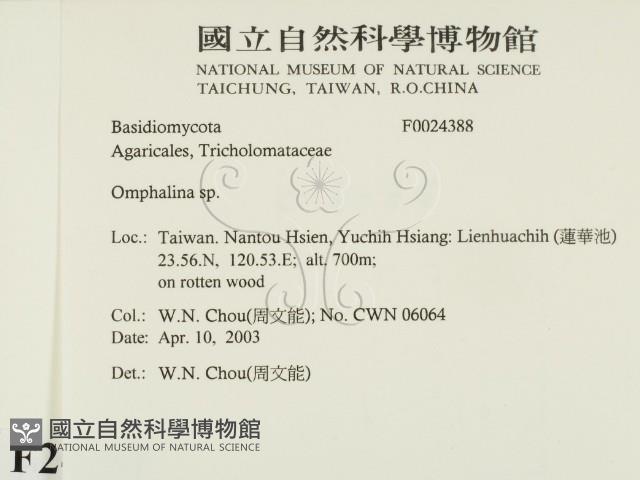 登錄號:F0024388藏品圖，第2張