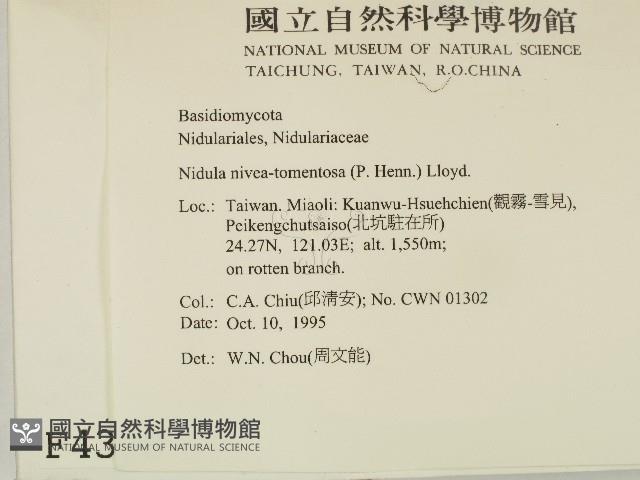 登錄號:F0004388藏品圖，第2張