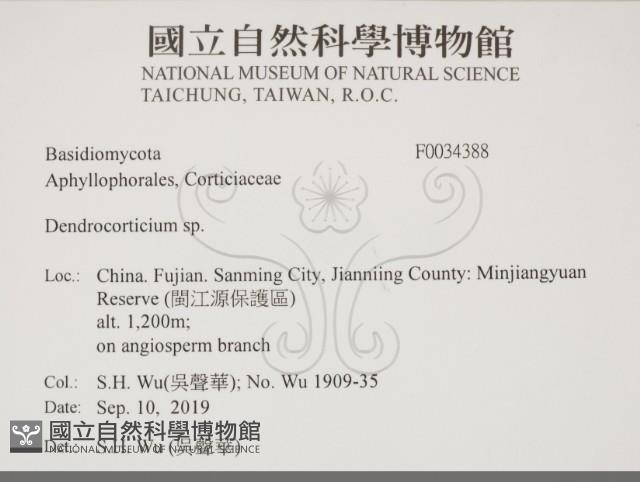 登錄號:F0034388藏品圖，第2張