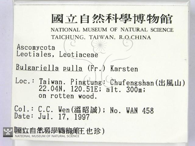 登錄號:F0007388藏品圖，第2張
