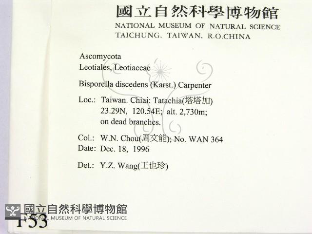 登錄號:F0005388藏品圖，第2張