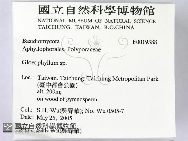 登錄號:F0019388藏品圖，第2張