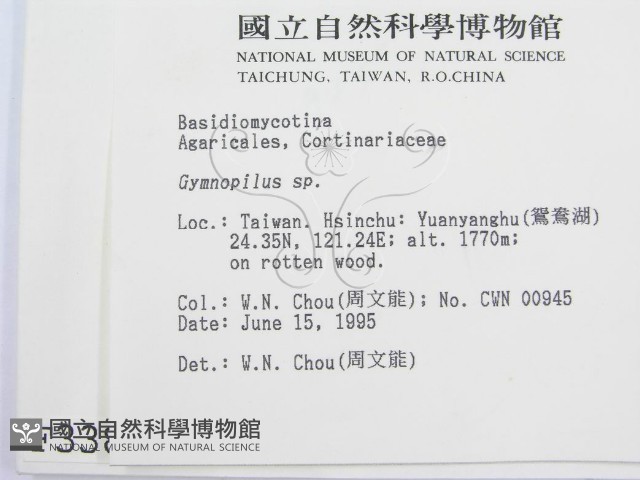 登錄號:F0003388藏品圖，第2張