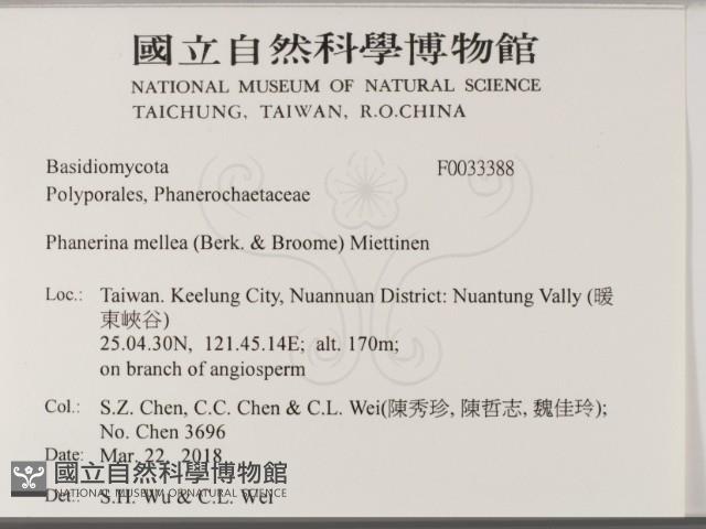 登錄號:F0033388藏品圖，第2張