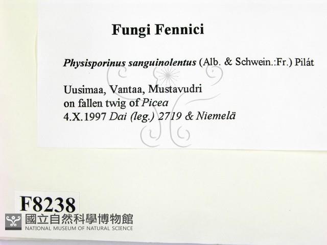 登錄號:F0008238藏品圖，第2張