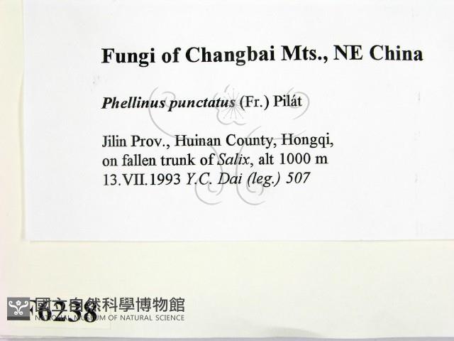 登錄號:F0006238藏品圖，第2張