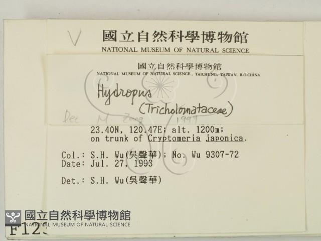 登錄號:F0001238藏品圖，第2張