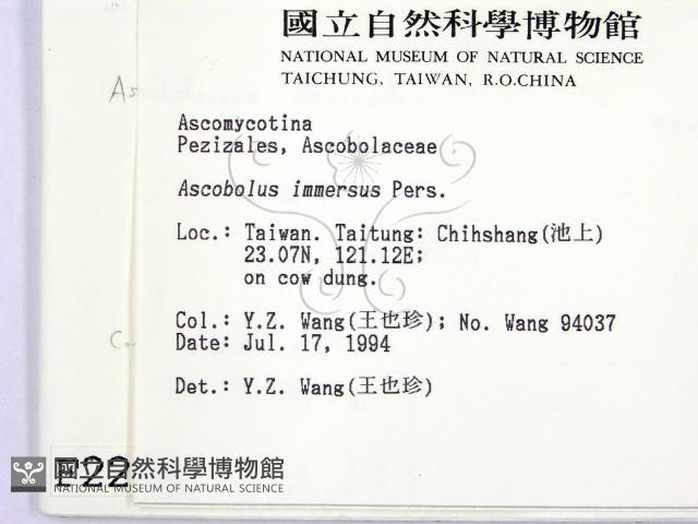 登錄號:F0002238藏品圖，第2張