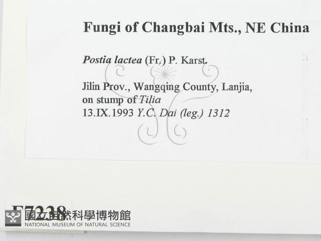 登錄號:F0007238藏品圖，第2張