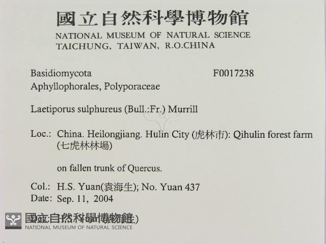 登錄號:F0017238藏品圖，第2張