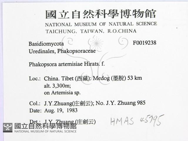 登錄號:F0019238藏品圖，第2張