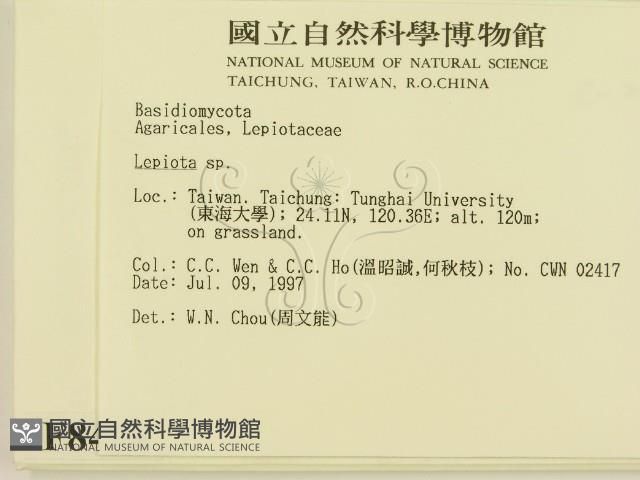 登錄號:F0008438藏品圖，第2張