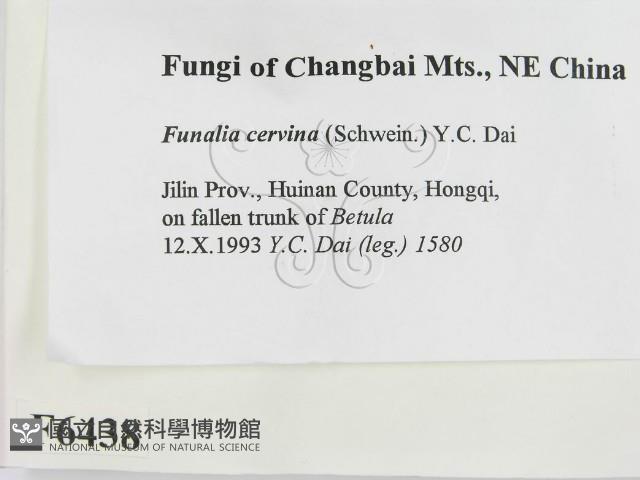 登錄號:F0006438藏品圖，第2張