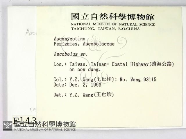 登錄號:F0001438藏品圖，第2張