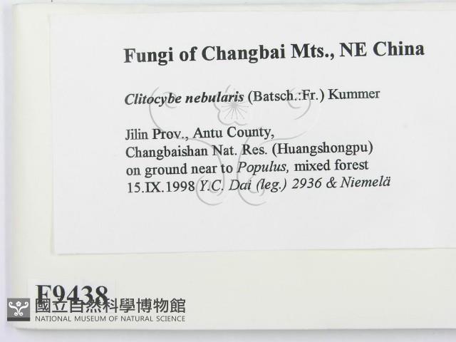 登錄號:F0009438藏品圖，第2張