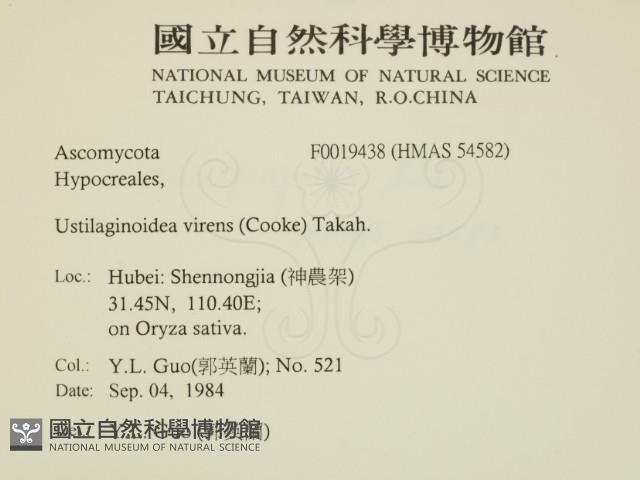 登錄號:F0019438藏品圖，第2張