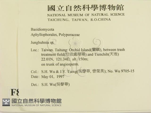 登錄號:F0008738藏品圖，第2張