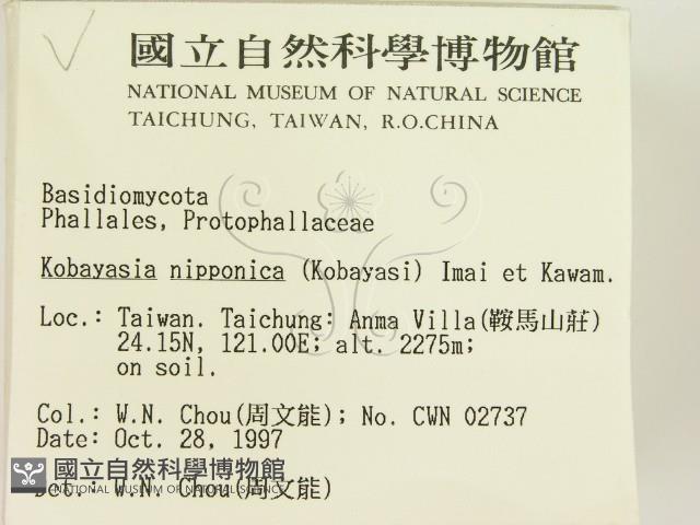 登錄號:F0009738藏品圖，第2張